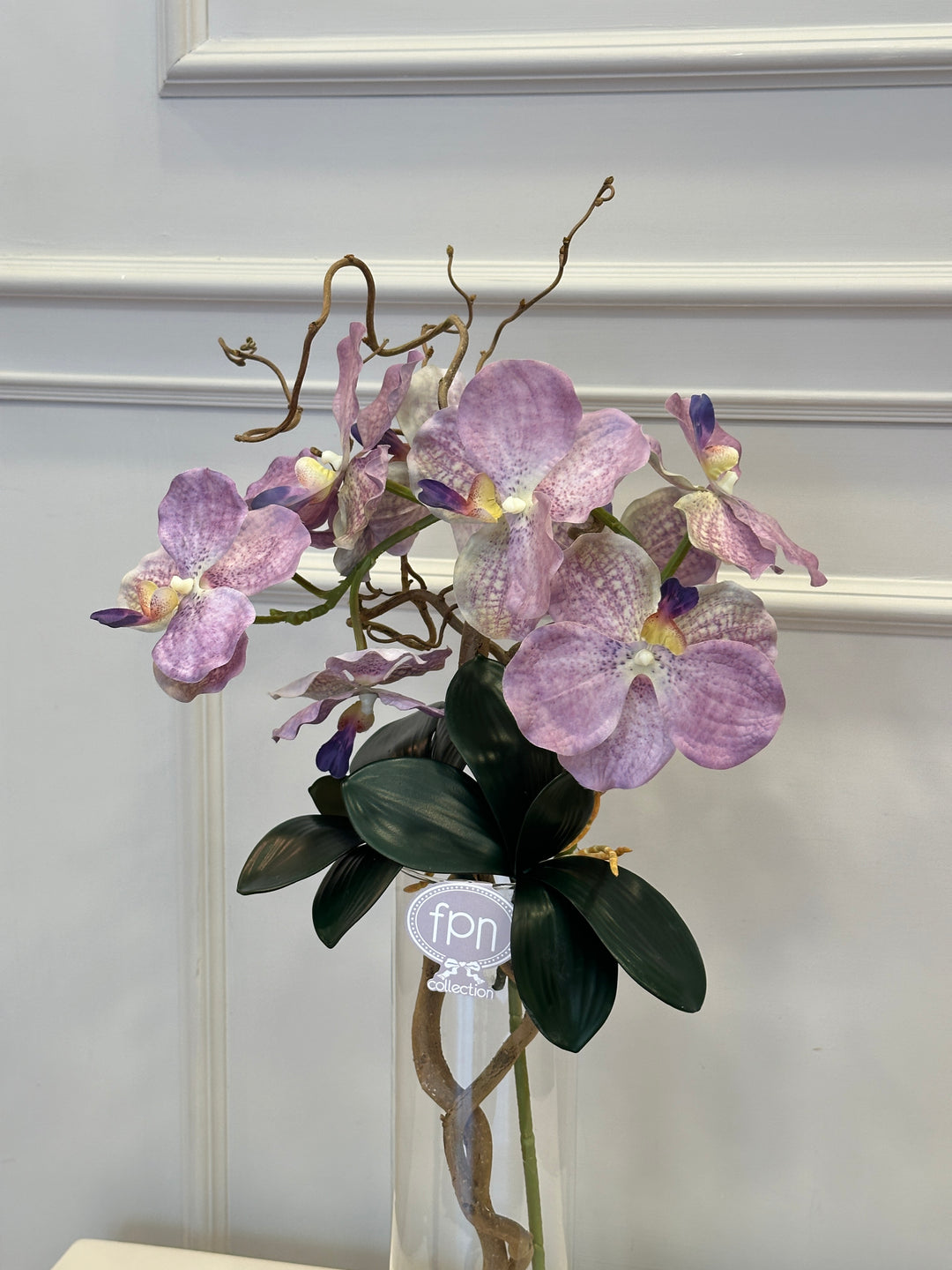 VASO-COMPOSTO-CON ORCHIDEA VANDA-H80cm
