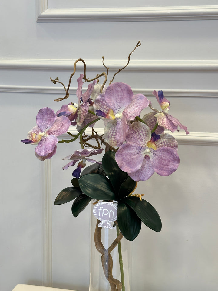 VASO-COMPOSTO-CON ORCHIDEA VANDA-H80cm