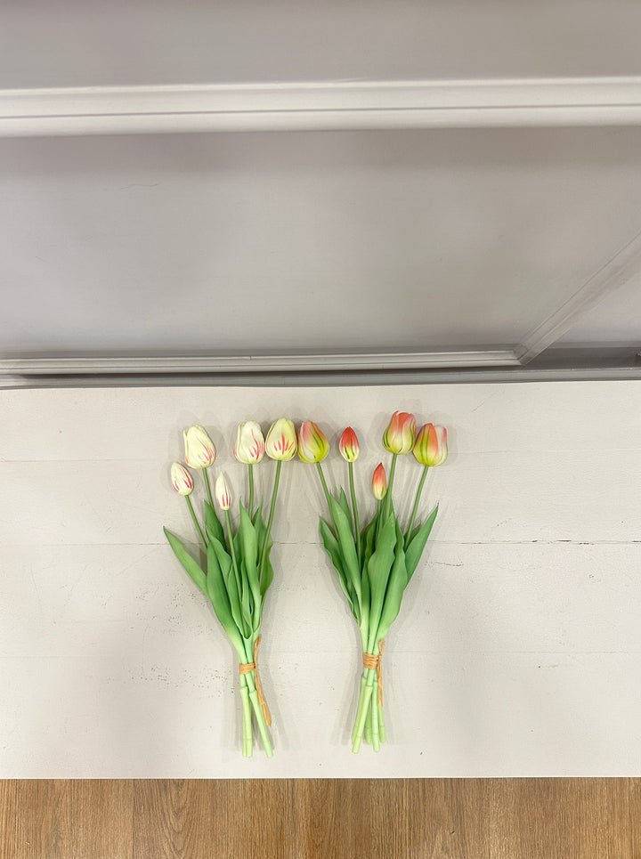 TULIPANI 2026-COLORAZIONI VARIEGATE-H40cm