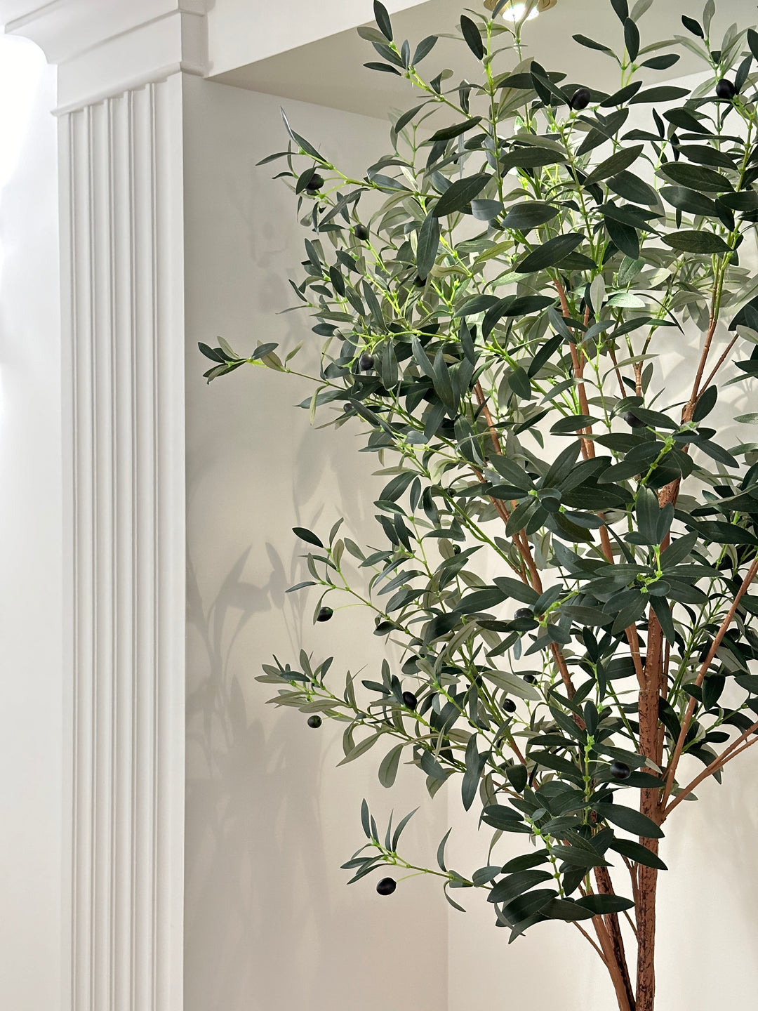 PIANTA D’ULIVO-H 1.80- STUPENDA ED ELEGANTE IN OGNI AMBIENTE- DA SEMPRE SIMBOLO DI RIGENERAZIONE E RELAX.