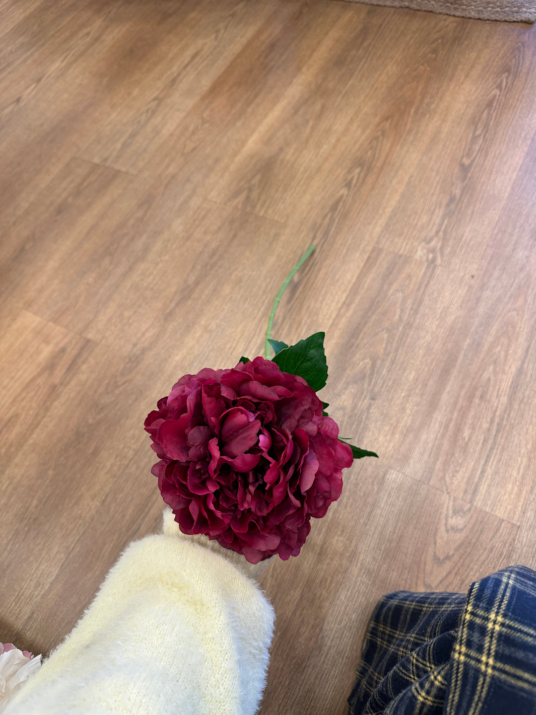 PEONIE-H70cm-SAGOMABILI-DISPONIBILE IN 6 COLORAZIONI.