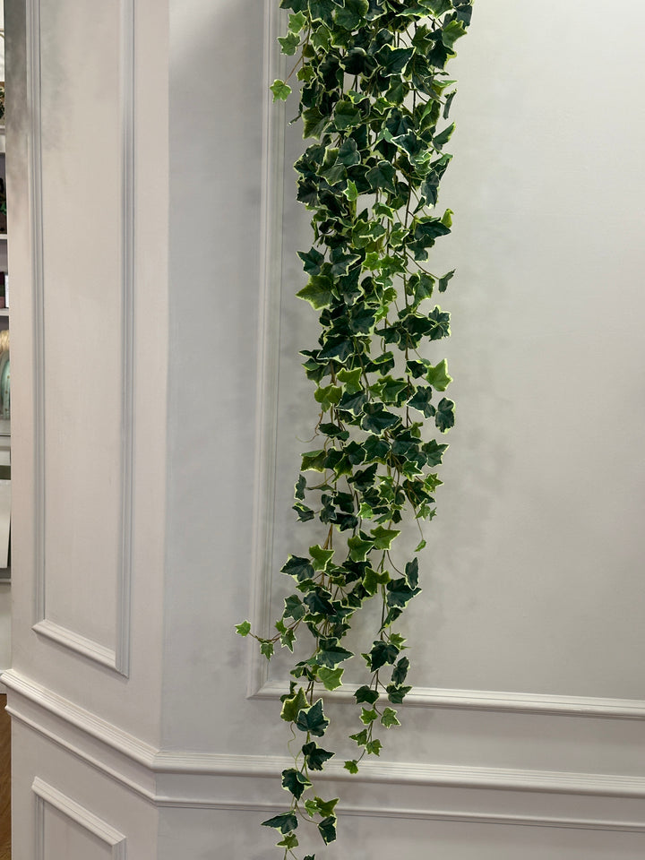 PENDENTE-EDERA VARIEGATA IN VERDE-DISPONIBILE IN DUE MISURE.