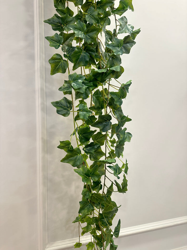 PENDENTE-EDERA VARIEGATA IN VERDE-H180cm