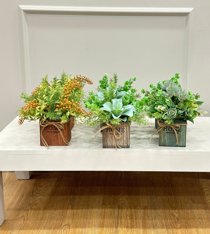 PIANTINE-GRASSE-ARTIFICIALI-20cm x 20