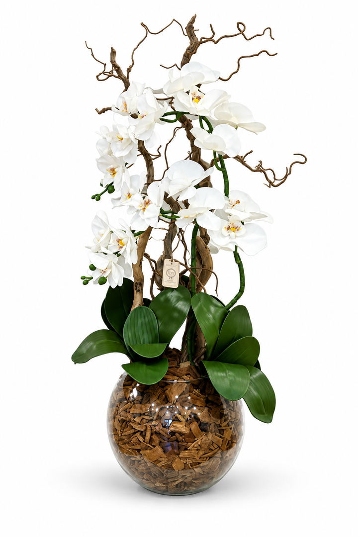 ORCHIDEA-ARTIFICIALE-REAL TOUCH-Con vaso in vetro effetto naturale-H65cm