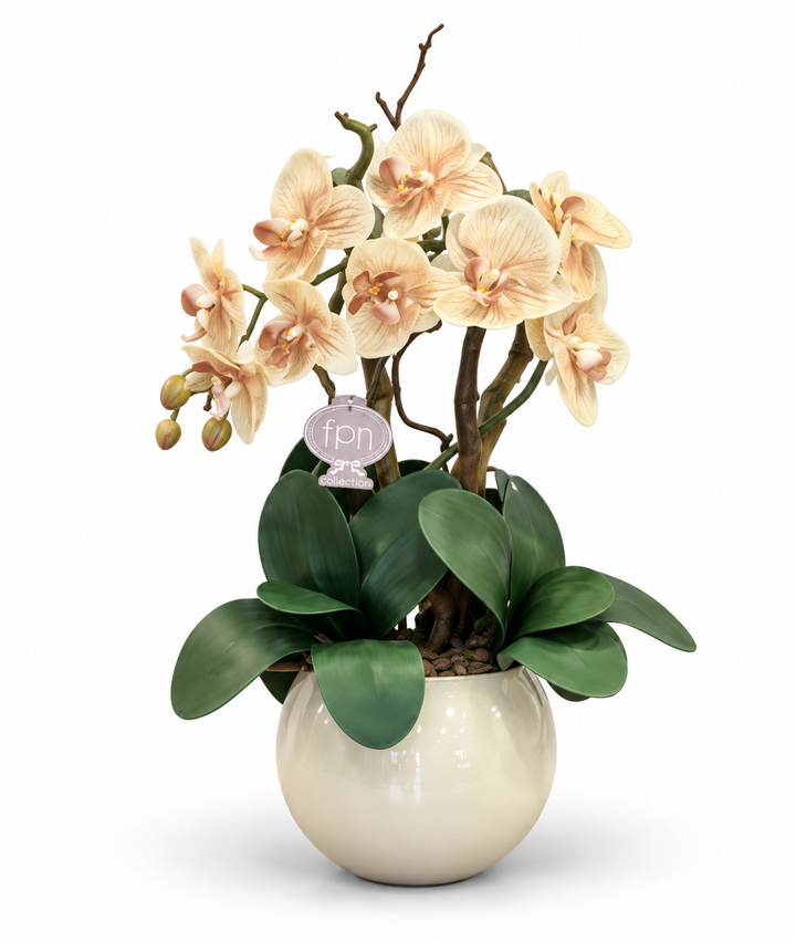 ORCHIDEA-ARTIFICIALE-REAL TOUCH-BEIGE E TORTORA-CON VASO COLOR BEIGE-A- 1 RAMO- H48cm