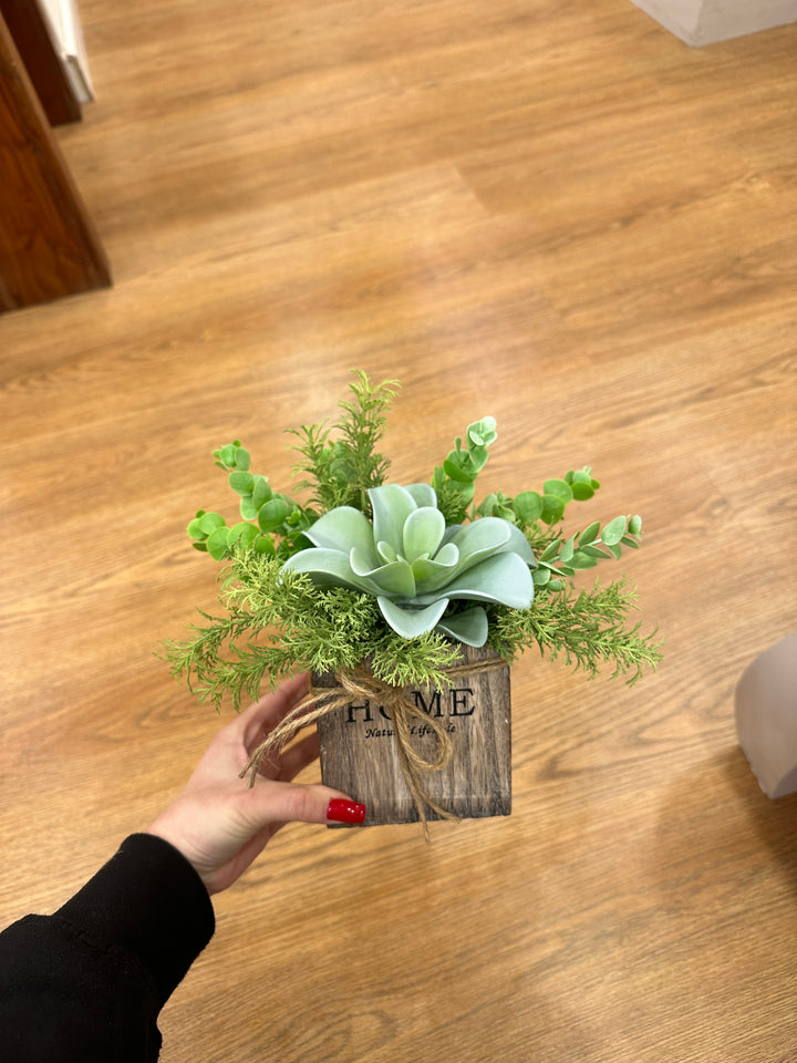 PIANTINE-GRASSE-ARTIFICIALI-20cm x 20