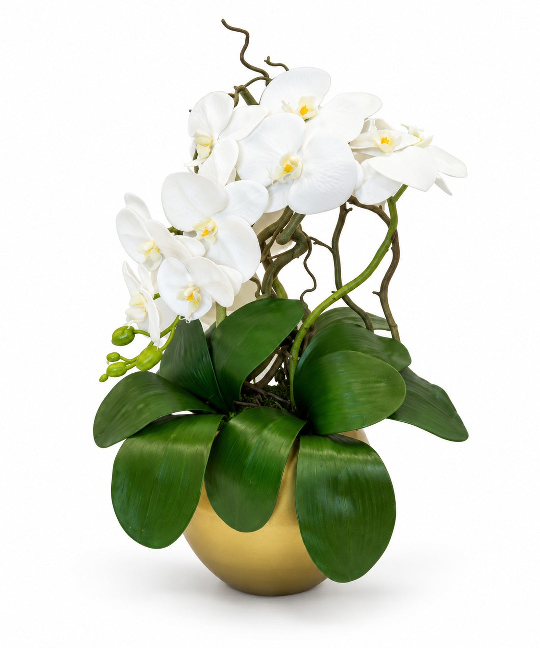 ORCHIDEA-ARTIFICIALE-REAL TOUCH-CON VASO ORO-A- 1 RAMO- H48cm