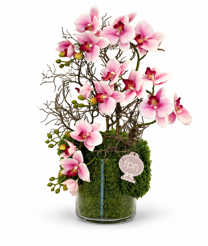 ORCHIDEA-JAPAN-REAL-TOUCH-H50cm