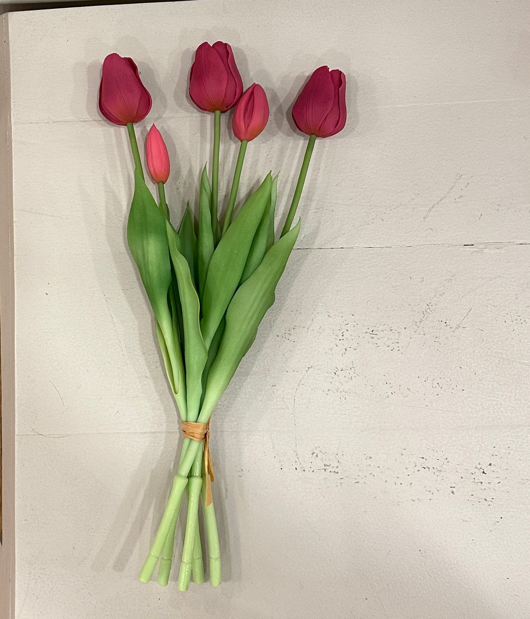 TULIPANI 2026-DISPONIBILI IN 11 COLORAZIONI-H40cm