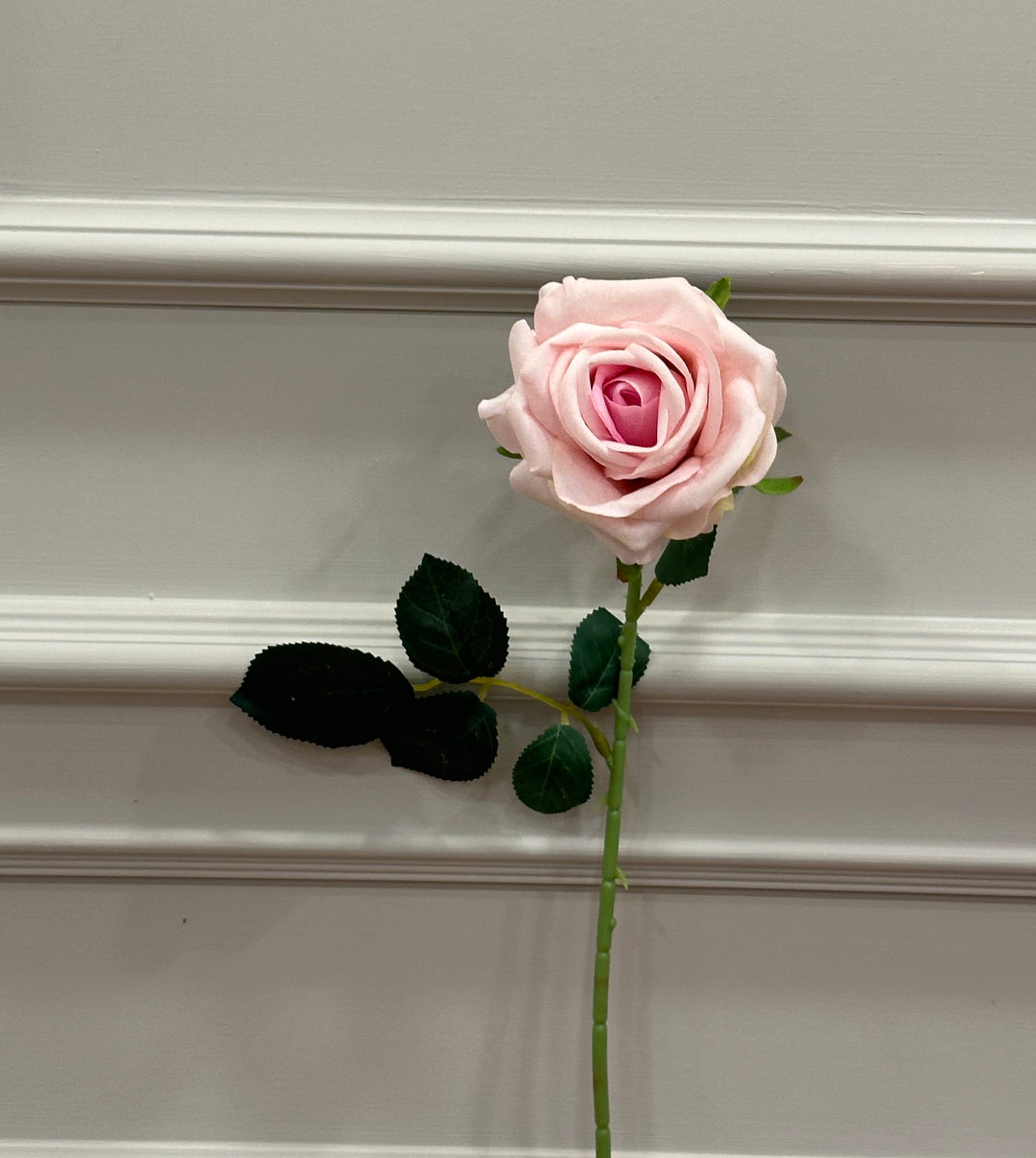 ROSA-ROSA IN VELLUTO-H70cm