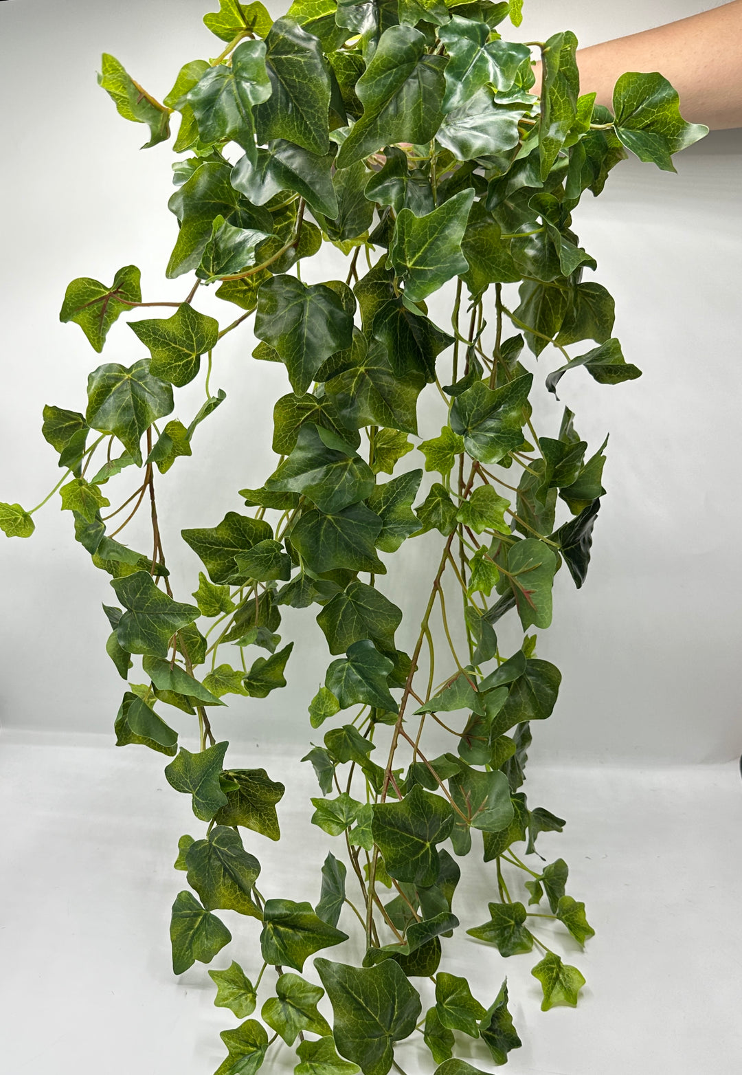 PENDENTE-EDERA VERDE-H70cm