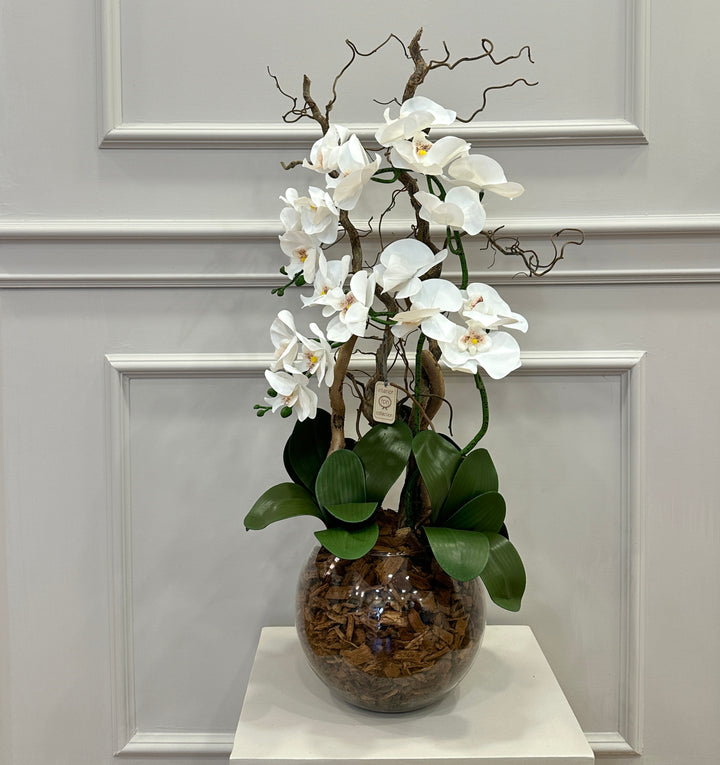 ORCHIDEA-ARTIFICIALE-REAL TOUCH-Con vaso in vetro effetto naturale-H65cm