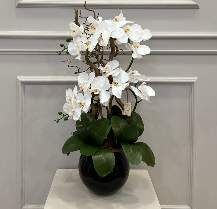 ORCHIDEA-ARTIFICIALE-REAL TOUCH-Con vaso in vetro nero -H65cm