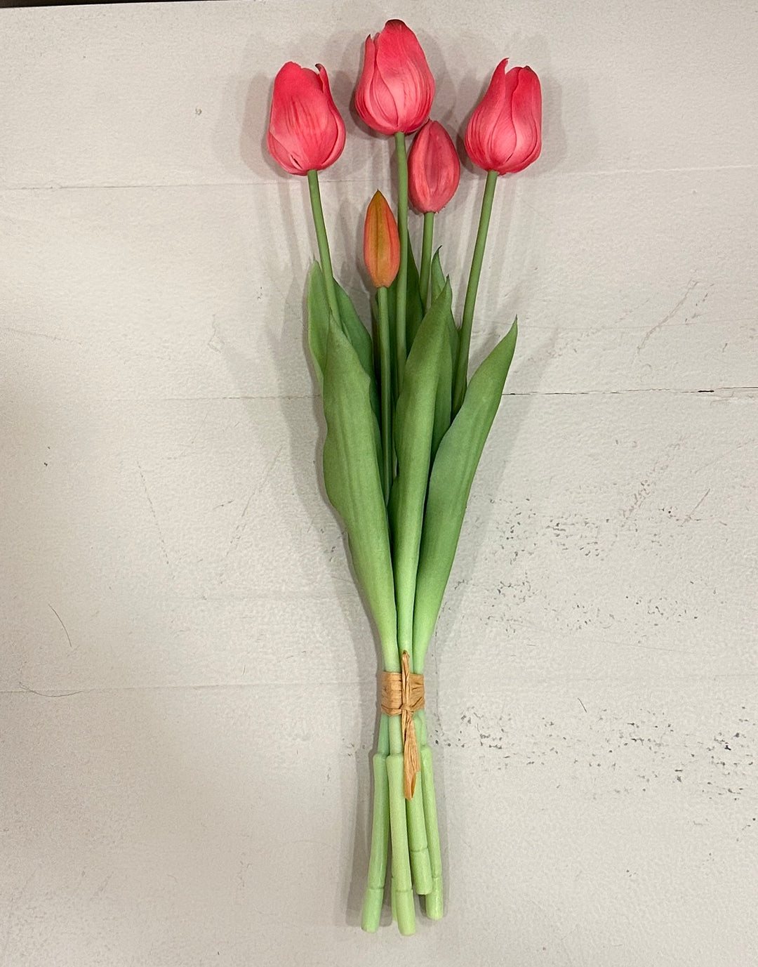 TULIPANI 2026-DISPONIBILI IN 11 COLORAZIONI-H40cm