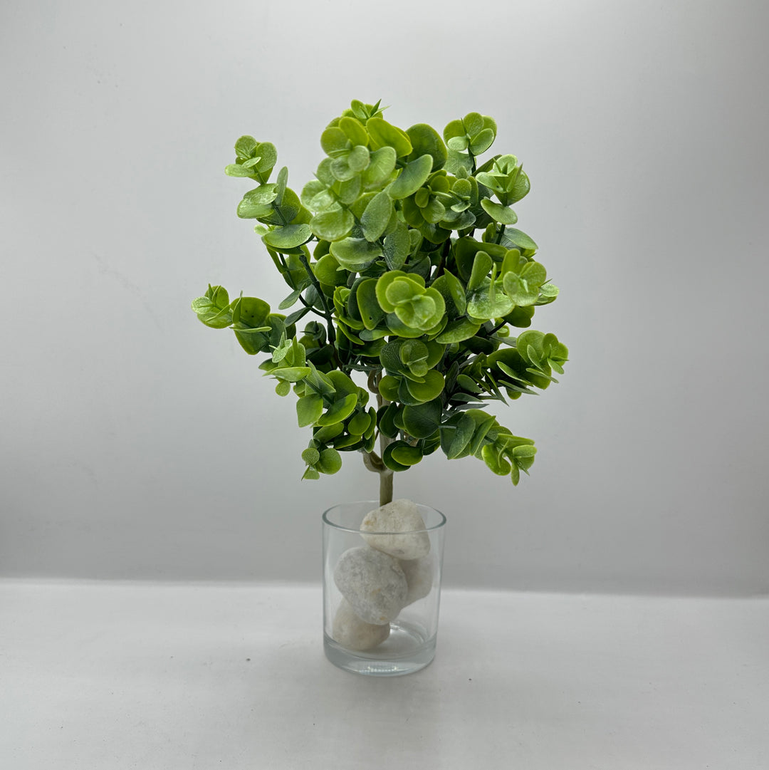 CIUFFO EUCALIPTUS GOMMATO  VERDE
