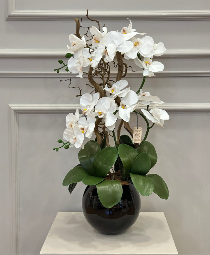 ORCHIDEA-ARTIFICIALE-REAL TOUCH-Con vaso in vetro nero -H65cm