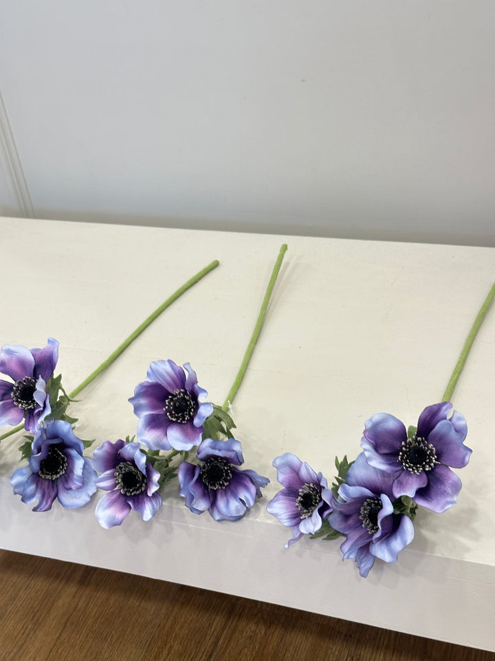 ANEMONE-SFUMATURE VIOLA-H50cm