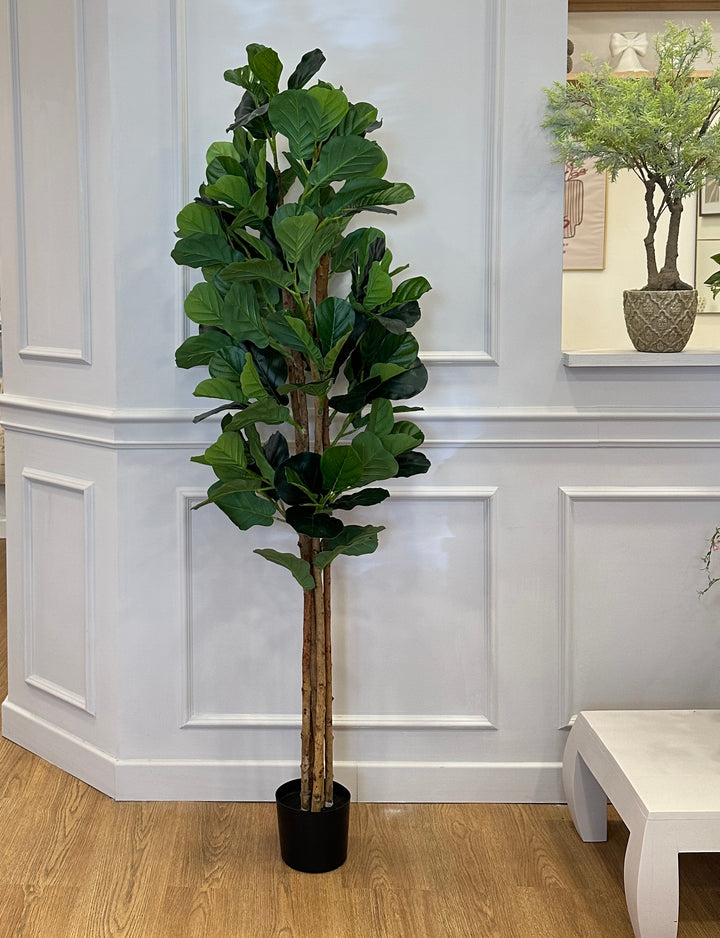 Ficus-lyrata-artificiale realistico-H180cm