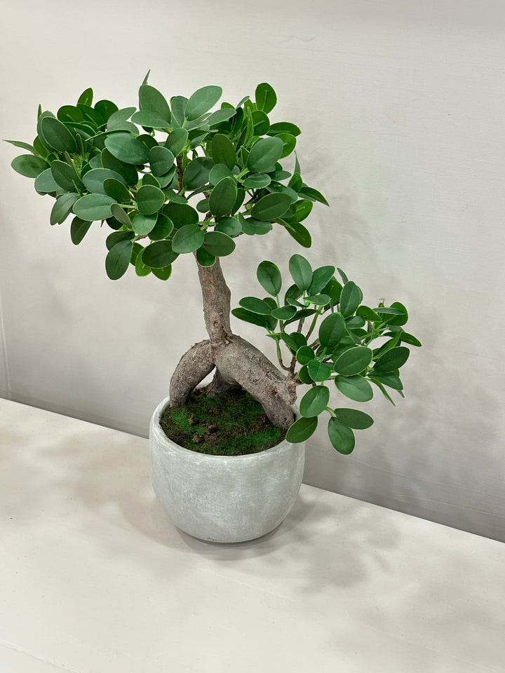 BONSAI-ARTIFICIALE-con vaso in ceramica-H40cm
