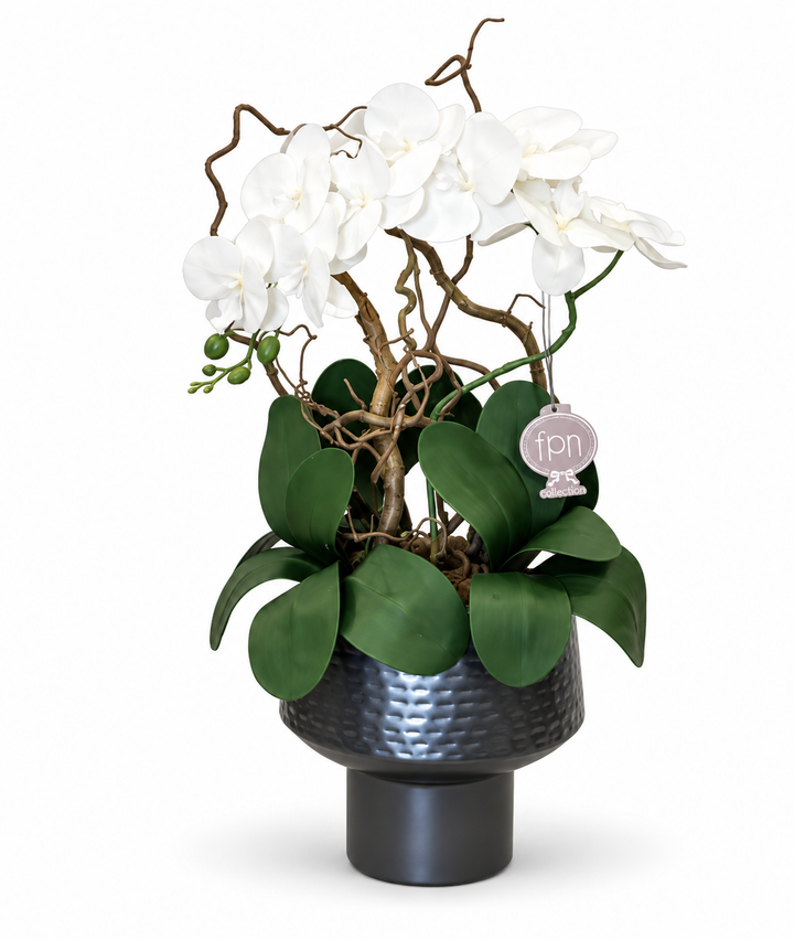 ORCHIDEA-CON VASO GREY/METALLISCENTE-ARTIFICIALE-REAL TOUCH- H65CM