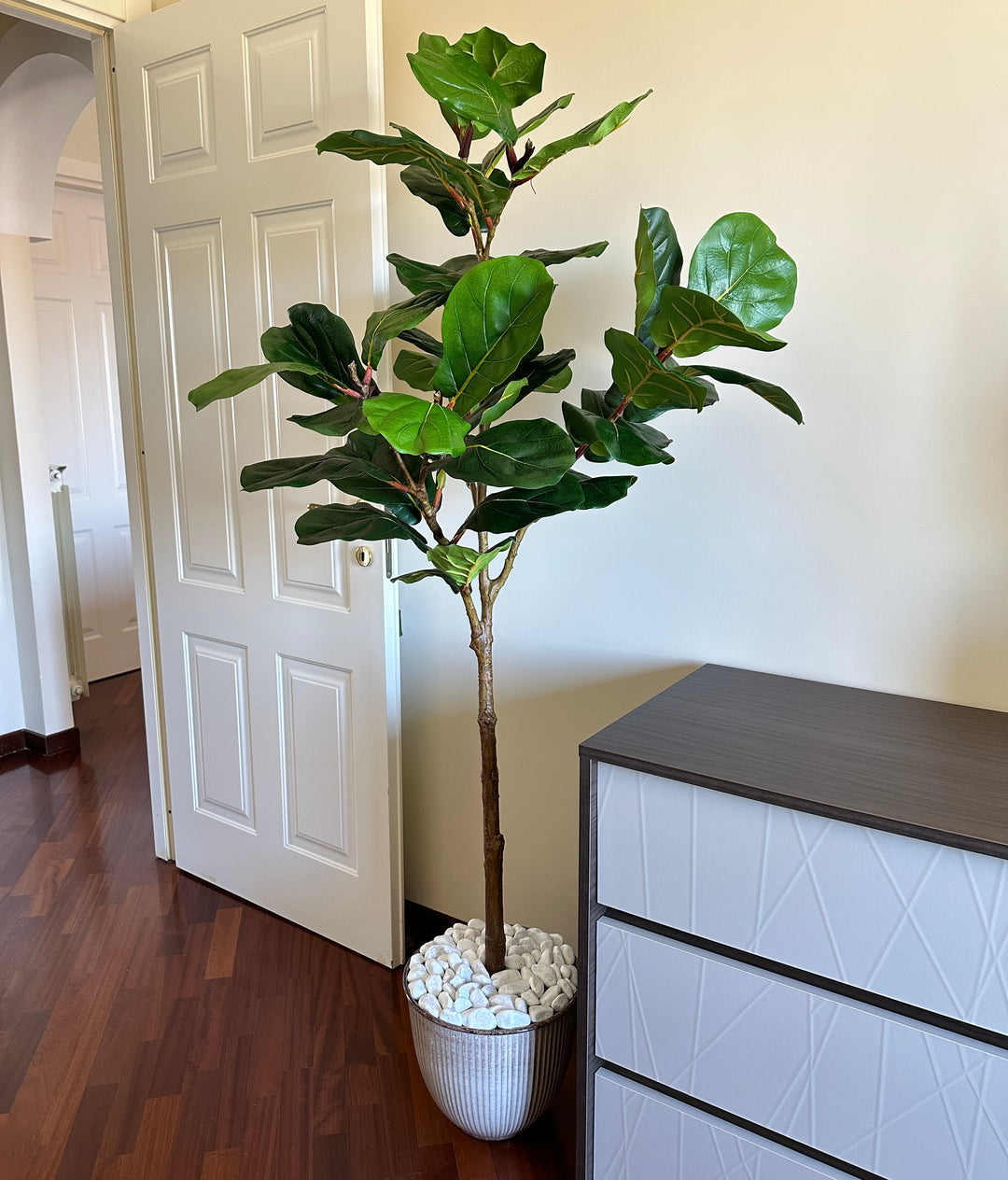 PIANTA-ARTIFICIALE-FICUS-LYRATA-H1.80 CON FOGLIA SUCCULENTA.