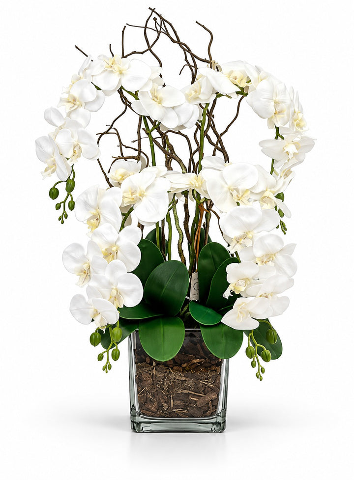 ORCHIDEA-ARTIFICIALE-REAL TOUCH-CON VASO-IN VETRO QUADRATO-MODELLO A 4 orchidee. H70cm