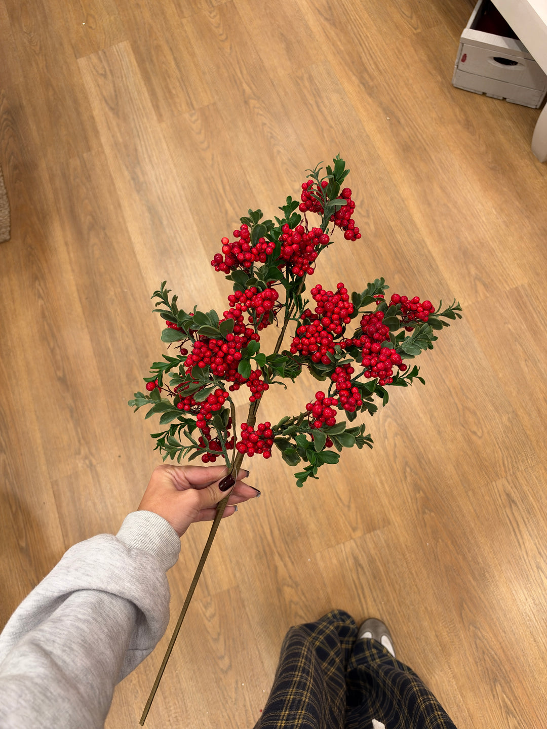 PICK-BACCHE ROSSE-H66cm -CON RAMI VERDE CHIARO