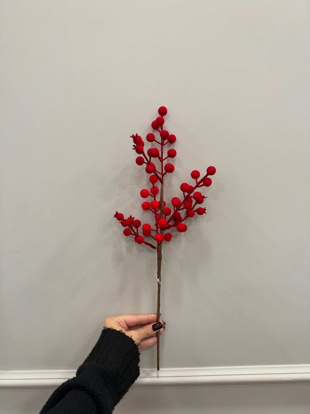 PICK-DI BACCHE-ROSSE IN VELLUTO.