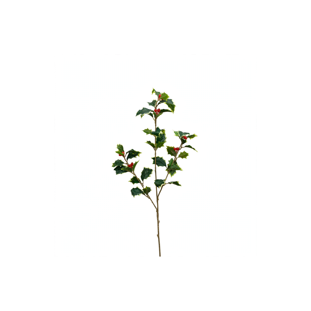 AGRIFOGLIO-DI NATALE-H60cm sagomabile