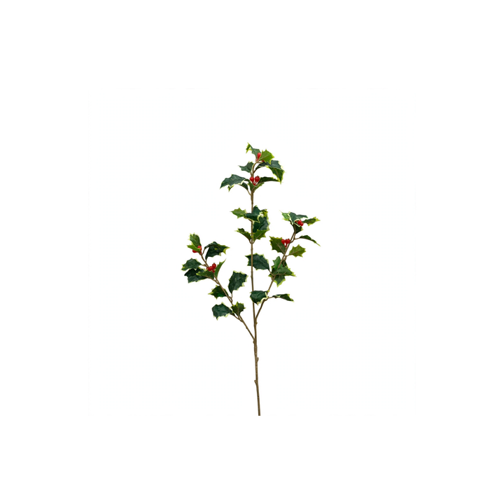 AGRIFOGLIO-DI NATALE-H60cm sagomabile