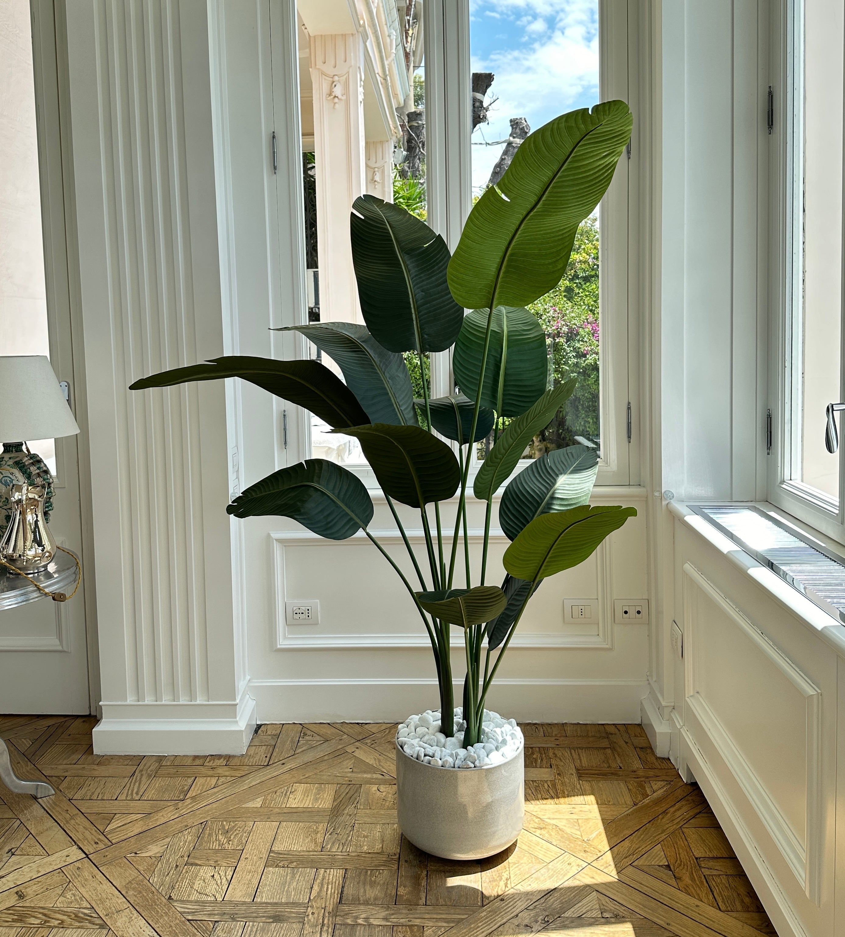 PIANTA-ARTIFICIALE-STERLIZIA