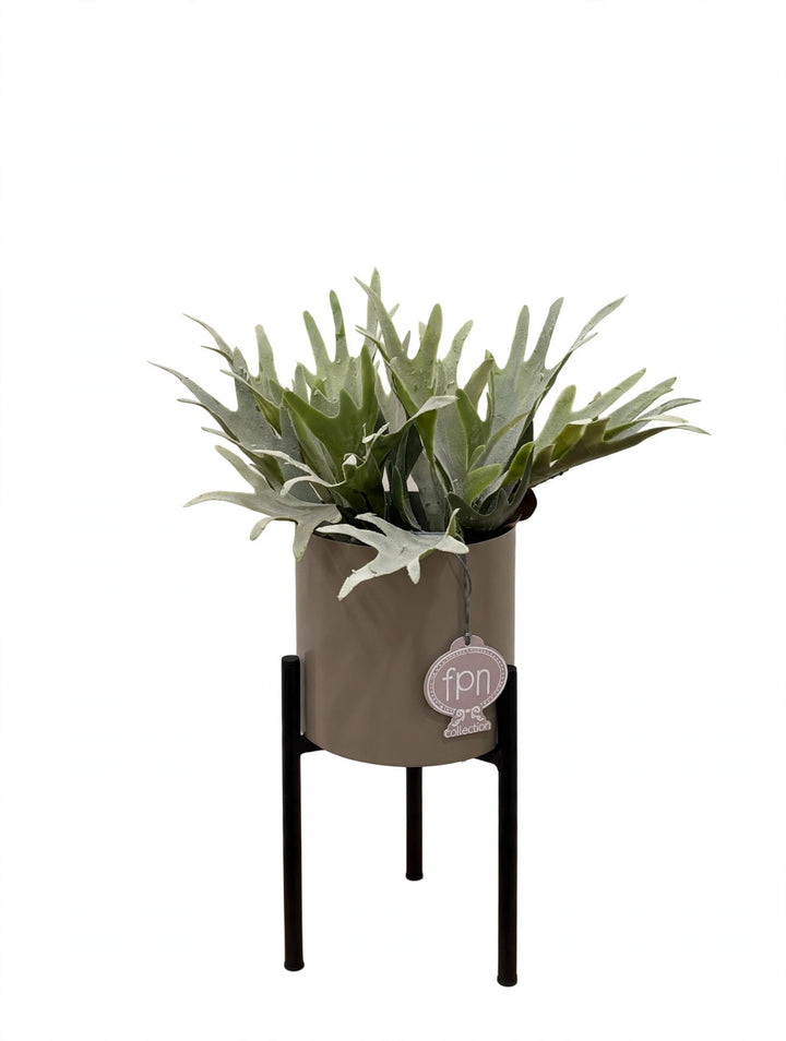 PLATICERIA-ARTIFICIALE-REAL TOUCH-COMPOSTA COME IN FOTO CON VASO SOTTOPIANTA  DISPONIBILE IN 3 COLORAZIONI-H40cm
