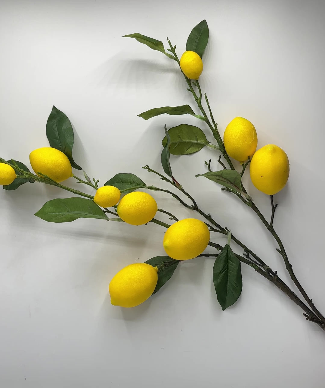 RAMO LIMONI- 9 LIMONI-MODELLO AMALFI-H65cm