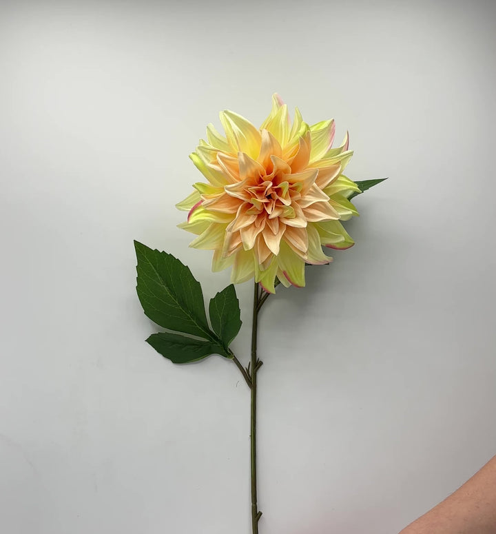 DALIA-COLORI PASTELLO-FRESCHEZZA D’ESTATE-H40cm