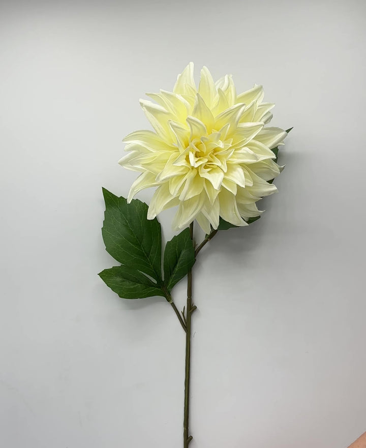 DALIA-FRESCHEZZA D’ESTATE-BIANCO-H40cm