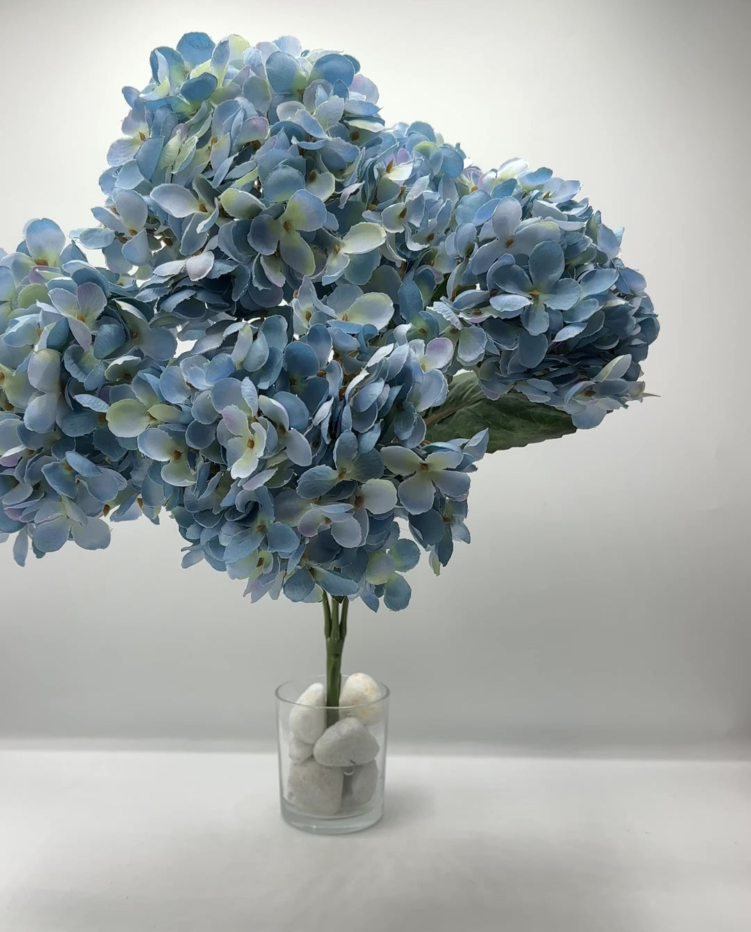BUSH-A 5 ORTENSIE- AZZURRO-POLVERE-H 44cm