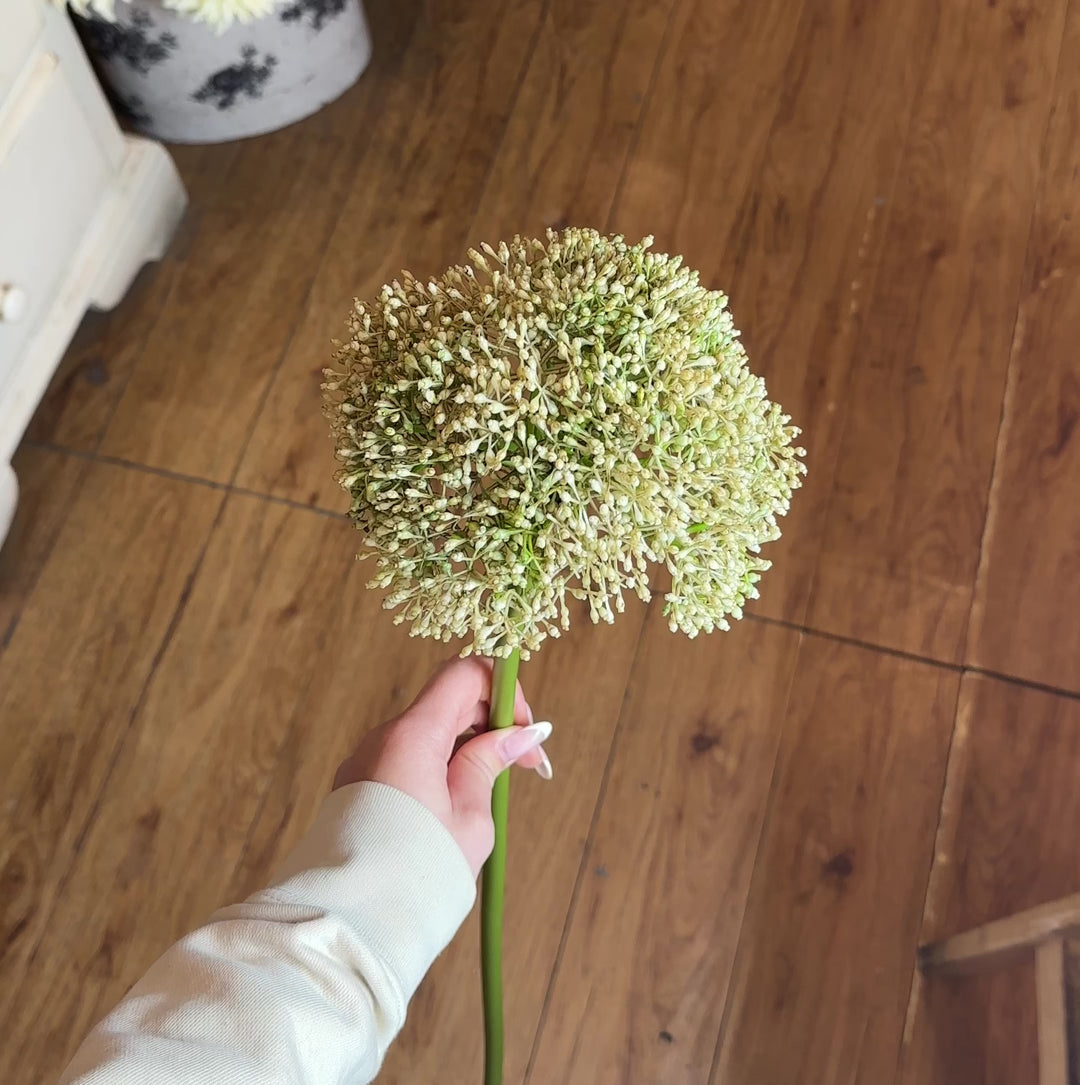 SEDUM-ALLIUM-MAGNIFICO-ELEMENTO-IN-OGNI-FASCIO DI FIORI-COLORE-GREEN/WHITE-H65cm