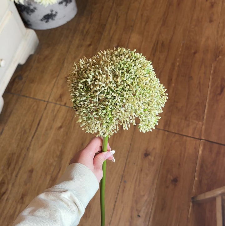 SEDUM-ALLIUM-MAGNIFICO-ELEMENTO-IN-OGNI-FASCIO DI FIORI-COLORE-GREEN/WHITE-H65cm